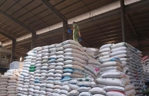 Là cường quốc xuất khẩu gạo, tại sao Việt Nam vẫn phải nhập khẩu mặt hàng này?