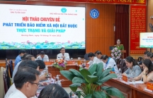 Quảng Nam: Phát triển BHXH bắt buộc chưa đạt mục tiêu đề ra, tình trạng trốn đóng BHXH vẫn còn xảy ra khá nhiều
