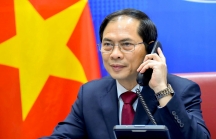Đề nghị Bộ Chính trị kỷ luật Bộ trưởng Ngoại giao Bùi Thanh Sơn liên quan chuyến bay 'giải cứu'