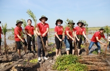 SeABank trao tặng 28.000 cây tràm cừ hỗ trợ Khu Bảo tồn Đất ngập nước Láng Sen