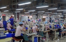 Nhộn nhịp thị trường lao động thời vụ dịp Tết ở Đà Nẵng