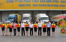 [Gam màu sáng doanh nghiệp Việt] Bài 4: 'Vua tôm' Minh Phú vượt đại dịch COVID như thế nào?