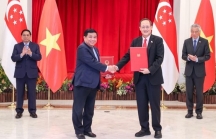Việt Nam và Singapore thiết lập quan hệ đối tác kinh tế số - kinh tế xanh