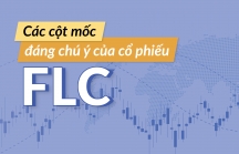[Infographic] Nhìn lại lịch sử cổ phiếu FLC trước khi lên sàn UPCoM