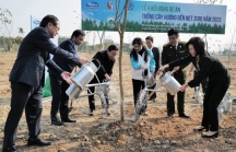 Khởi động dự án trồng cây hướng đến Net Zero Carbon của Vinamilk và Bộ Tài nguyên và Môi trường 