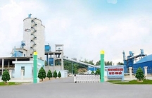 Gỡ được rào cản, nhiều nhà đầu tư muốn mua lại Nhà máy xi măng Đại Việt - Dung Quất