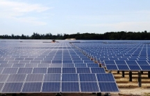 Hoành Sơn muốn bán dự án điện mặt trời cho doanh nghiệp nước ngoài với giá 23,9 triệu USD