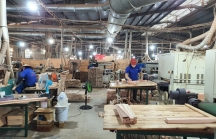 Bình Định có thêm dự án sản xuất, chế biến gỗ gần 1.000 tỷ đồng