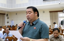 Chủ tịch Tập đoàn Đất Quảng Nguyễn Viết Dũng bị khiển trách về mặt Đảng