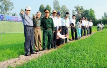 'Sản xuất lúa chưa giúp mang lại thu nhập cao cho nông dân'