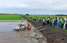 Sắp khởi động hợp tác công - tư sản xuất 1 triệu ha lúa giảm phát thải carbon tại Đồng bằng sông Cửu Long