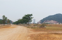 Bình Định sẽ chấm dứt hợp đồng BT đối với dự án khu đô thị 5.000 tỷ đồng