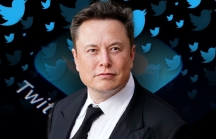 Giá trị của Twitter chỉ còn 1/3, đây phải chăng là phi vụ đầu tư hố của Elon Musk?