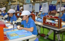 Lý do Việt Nam vẫn hấp dẫn các tập đoàn đa quốc gia
