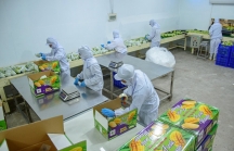 Nông sản Việt 'lép vế' vì chi phí logistics quá cao