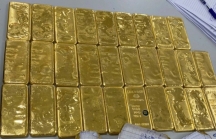 Chủ tịch Vàng Phú Quý bị khởi tố trong vụ buôn lậu 3 tấn vàng