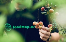 Startup nông nghiệp Việt FoodMap gọi vốn thành công 1 triệu USD