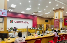 Lần thứ 6 liên tiếp Agribank giảm lãi suất cho vay hỗ trợ người dân, doanh nghiệp
