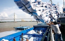 Xuất khẩu gạo Việt Nam sang Indonesia tăng gần 1.500%