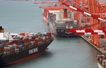Xuất khẩu của Hàn Quốc sang thị trường Đông Nam Á giảm 26,9% trong tháng 5