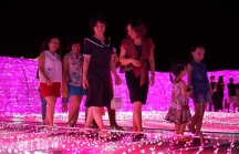 Du khách thích thú check-in không gian ánh sáng Việt-Nhật tại Đà Nẵng