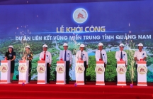 Quảng Nam đầu tư 768 tỷ để thực hiện dự án Liên kết vùng miền Trung