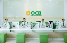 Lợi nhuận OCB tăng trưởng tích cực trong 6 tháng đầu năm