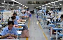 Doanh nghiệp ngành dệt may, da giày đang phải cầm cự, tìm cách giữ lao động