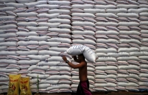 Bộ trưởng Lương thực: 'Ấn Độ không có kế hoạch hạn chế xuất khẩu gạo basmati'