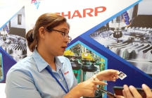 Sharp 'đỏ mắt' tìm nhà cung ứng linh kiện sản xuất ở Việt Nam