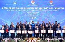 Thủ tướng chấp thuận VSIP làm chủ đầu tư dự án 1.555 tỷ ở Hà Tĩnh