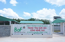 BaF Việt Nam sắp chào bán hơn 68 triệu cổ phiếu giá 10.000 đồng/cp