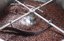Cà phê không đủ để bán dù giá liên tục tăng ở thị trường nội địa lẫn xuất khẩu