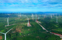 Điện gió Trung Nam Đắk Lắk 1 lỗ 390 tỷ nửa đầu năm