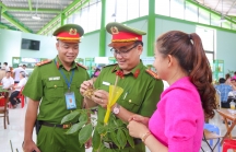 Quảng Nam yêu cầu công an điều tra việc mua bán sâm Ngọc Linh giả
