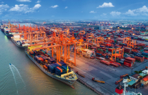 Tín hiệu lạc quan về lợi nhuận doanh nghiệp cảng và vận tải biển
