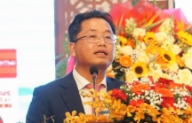 Đối mặt nhiều khó khăn, doanh nghiệp Đà Nẵng đề xuất loạt giải pháp khẩn cấp