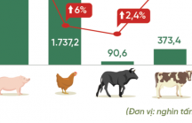 Toàn cảnh ngành chăn nuôi: Liên tục thua lỗ, vẫn nhập khẩu khủng