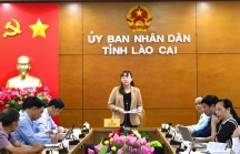 'Lào Cai quyết tâm phấn đấu hoàn thành các chỉ tiêu BHXH, BHYT năm 2023'