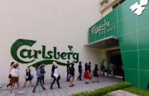 Carlsberg vẫn tăng trưởng dù thị trường bia gặp nhiều khó khăn
