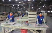 Ngành gỗ Việt Nam xuất khẩu trên 10 tỷ USD mỗi năm