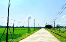 Một doanh nghiệp miền Nam làm loạt dự án trồng cây xanh ở Hà Tĩnh