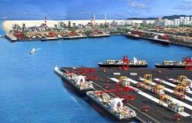 Quảng Trị tái khởi công dự án khu bến cảng hơn 14.000 tỷ đồng