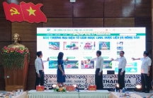 Quảng Nam ra mắt sàn thương mại điện tử về sâm Ngọc Linh