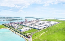 Cảng Chu Lai - Kết nối nông sản Việt ra thị trường thế giới