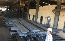 Văn phòng Chính phủ giao UBND thành phố Đà Nẵng giải quyết và báo cáo về Nhà máy thép Dana -Ý