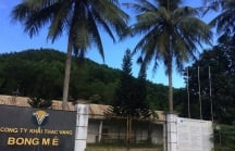Quảng Nam: Công ty vàng Bồng Miêu phá sản, để lại khoản nợ khổng lồ gần 1.000 tỷ đồng