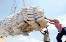 Philippines có kế hoạch nhập khẩu 250.000 tấn gạo