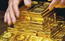 Giá vàng hôm nay: Tiếp tục giảm nhẹ theo giá vàng thế giới