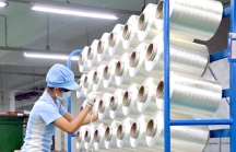 Sợi polyester Việt Nam bị điều tra chống phá gía ở Mỹ